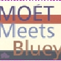 16_bluey.jpg